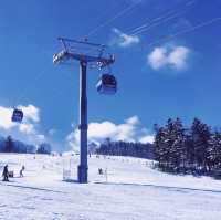 Sapporo Teine Welcomes Every Snow Enthusiast