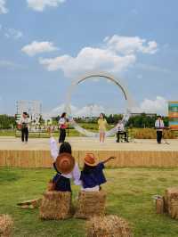 不用去大理！！成都公園就有童話稻田