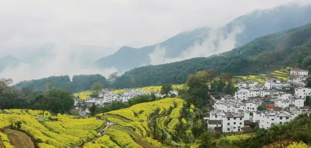In Jiangxi, there is a picturesque village, especially in the golden autumn of October, it is like a scroll