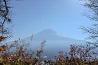 富士山｛不打卡｝一日遊