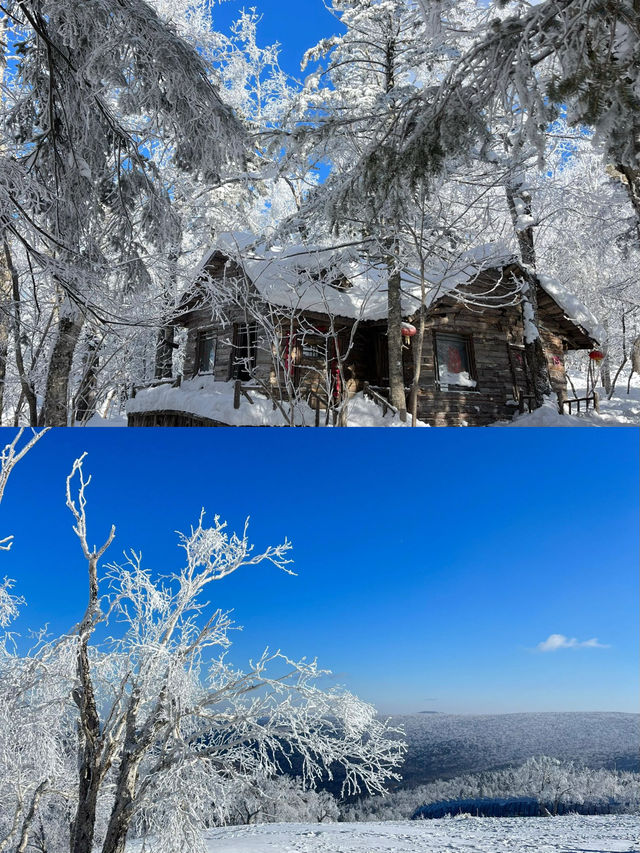 【哈爾濱雪鄉兩日遊】超詳細攻略，帶你玩轉冰雪世界！