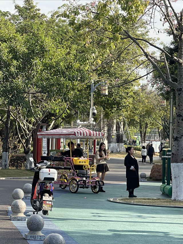 華陽湖水上森林公園