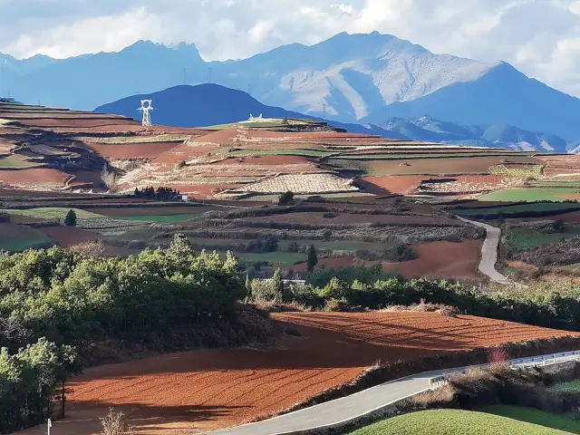 There is a piece of red land in Dongchuan