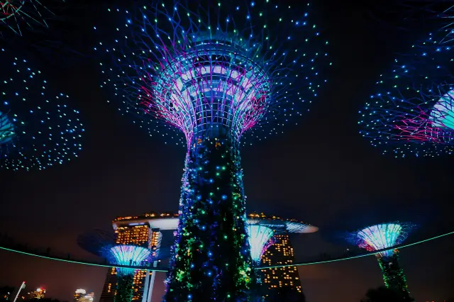 싱가포르에서 가장 눈부신 초대형 나무에 체크인합니다