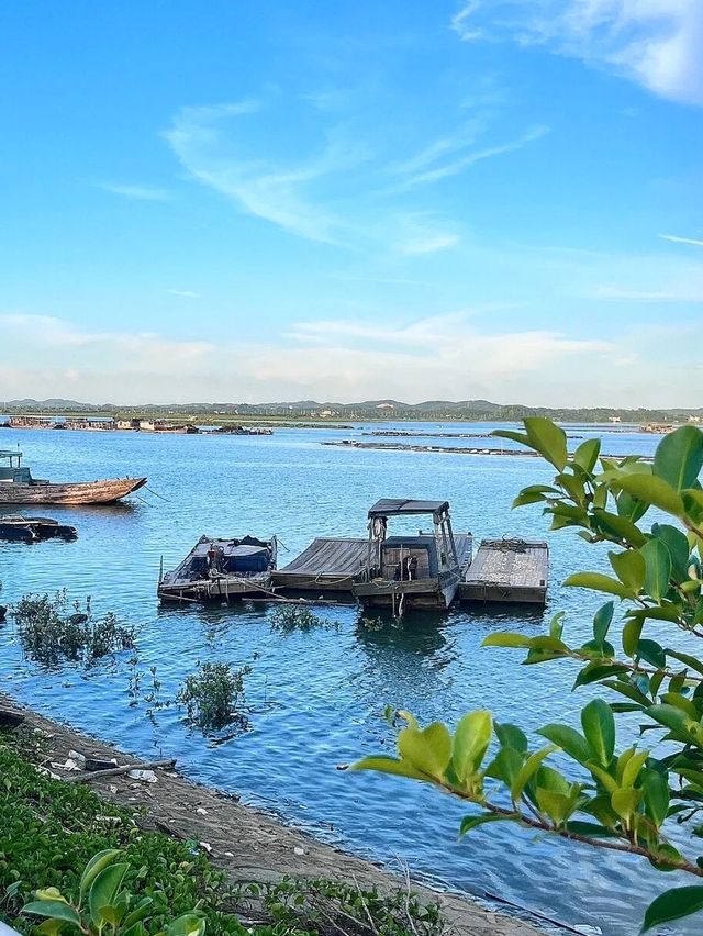 欽州旅遊1茅尾海離市區很近的海