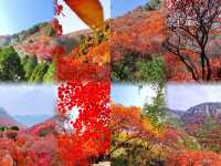 泼染山紅景色好，不是香山勝香山"石門坊