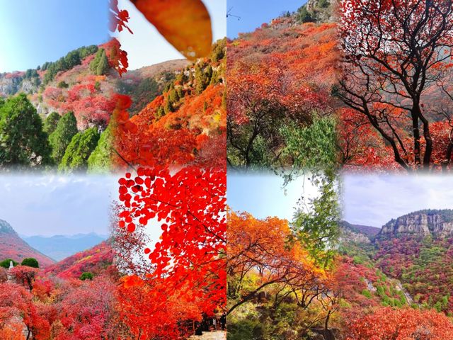 泼染山紅景色好，不是香山勝香山"石門坊