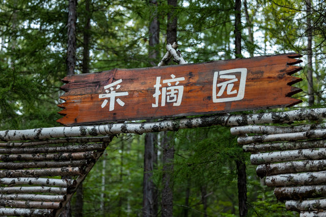 位於長白山腳下值得逛的景點推薦——聚龍火山石林