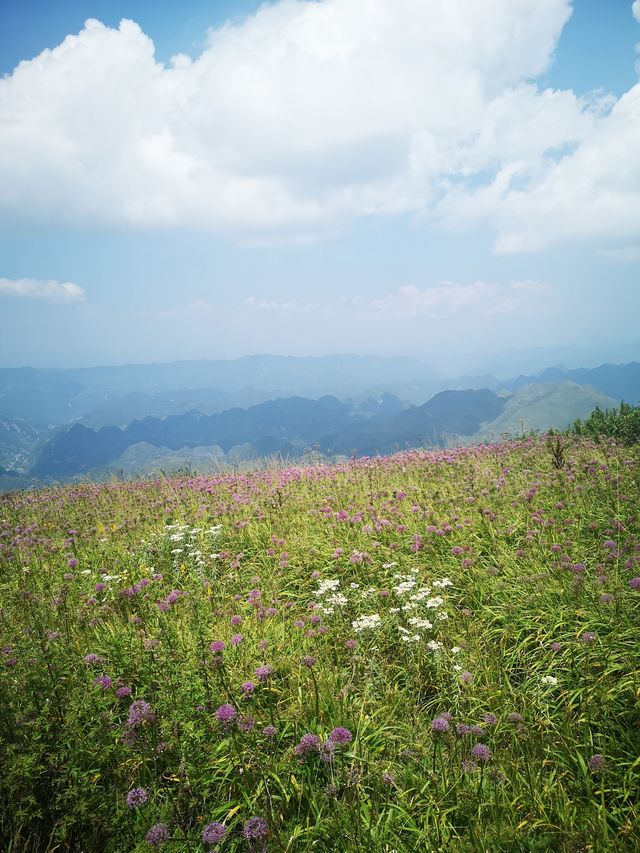 阿西里西