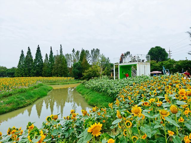 花開海上的確是個漂亮的公園，設施和服務都很好