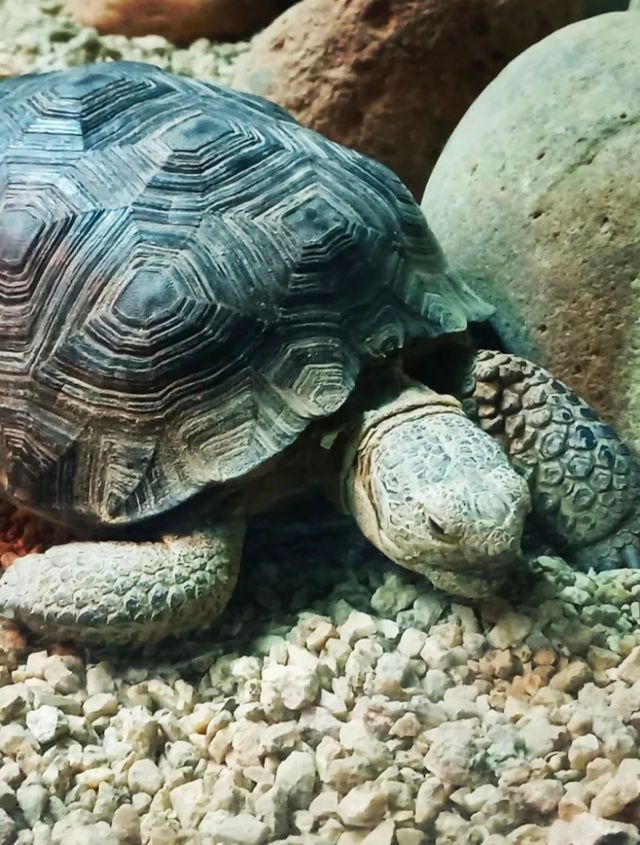 太平洋水族館 |  超治癒的海底世界