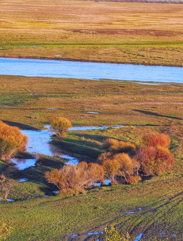 เจอกันที่อ่าว, ทุ่งหญ้าฮูลุนเบียร์
