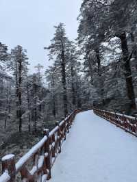 姊妹們！實拍瓦屋山又又又下雪啦