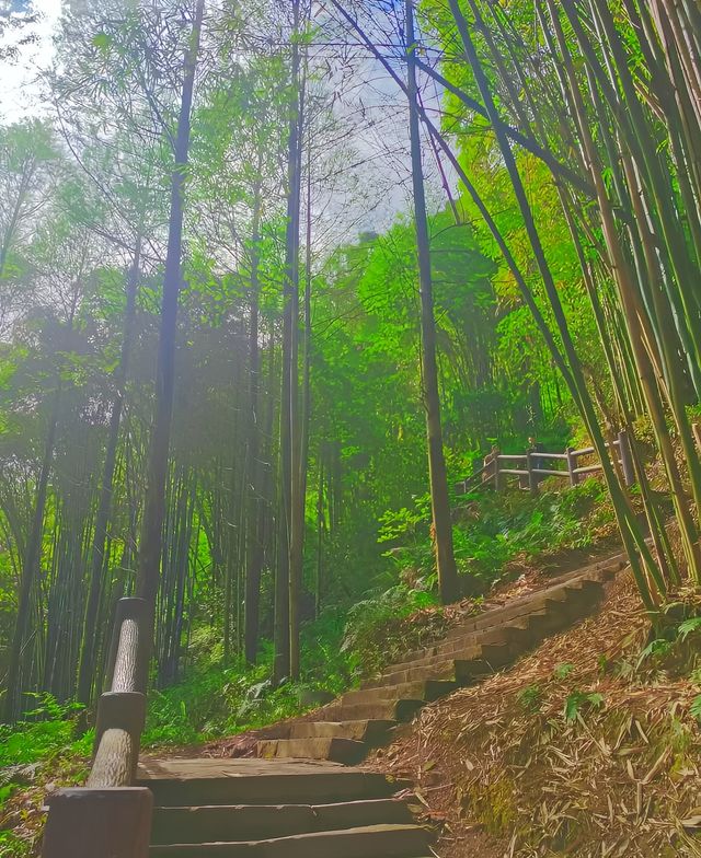 雨城雅安|爬天梯、遊古寺，一起森呼吸