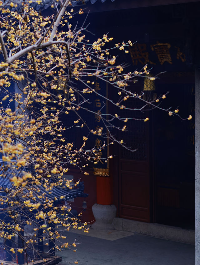 新昌大佛寺｜不輸靈隱寺的小眾古剎 春節免費