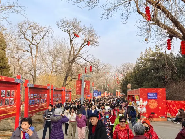 The Beijing Longtan Temple Fair is more diverse and offers a better experience