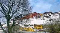 春節最具性價比的旅行目的地—西藏