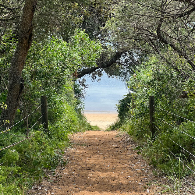 A Hidden Gem in Sydney 🏝️
