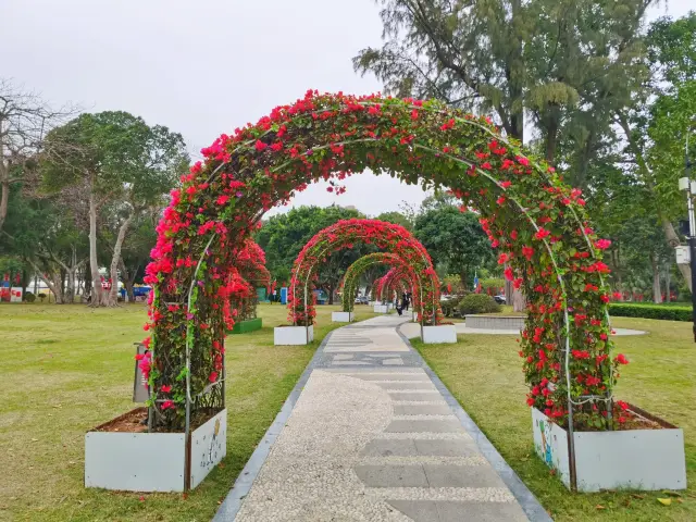 海邊公園的休閒度假