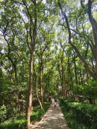 松江佘山國家森林公園是上海爬山好去處