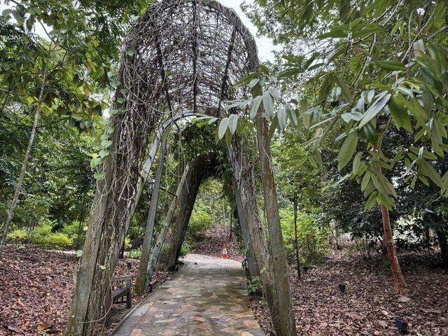 新加坡植物園不完全探索