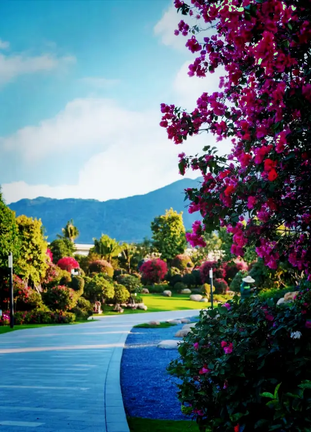 This flower wall is about to become a popular attraction