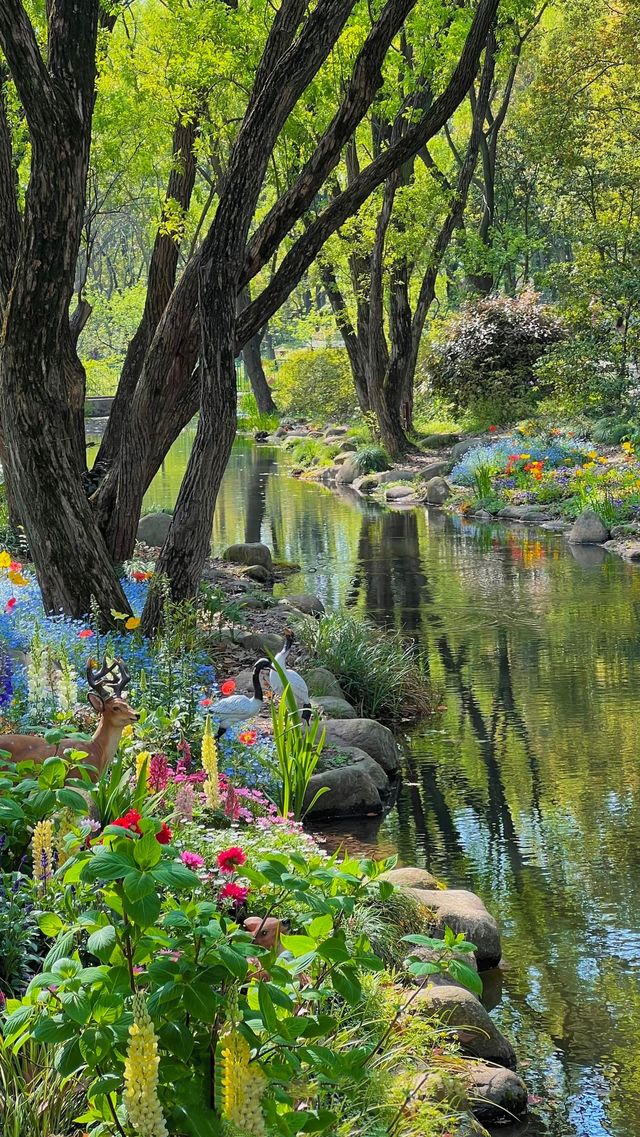 上海免費的公園，裡面有現實版的莫奈花園