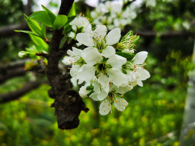 漫步雨後天晴的貢井三台村