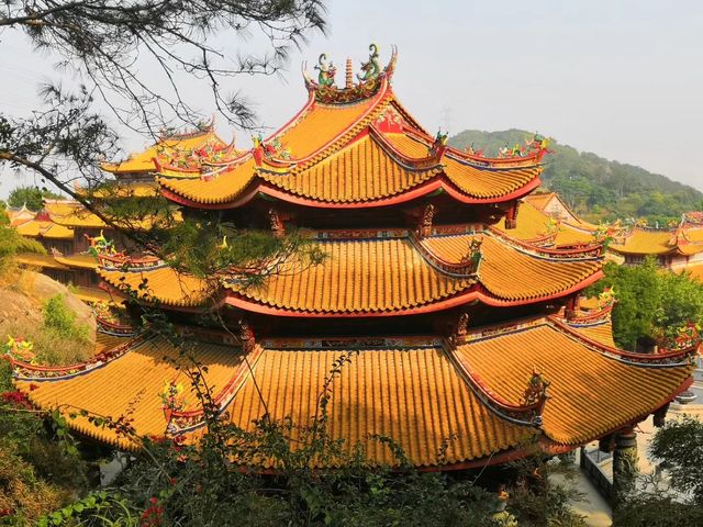 健康步道雲海線：廈門天竺岩寺至世紀和平園林