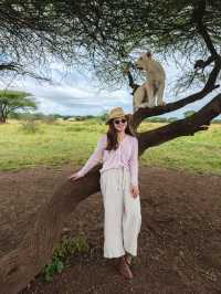 坦桑尼亞，可以撫摸大貓的神仙酒店