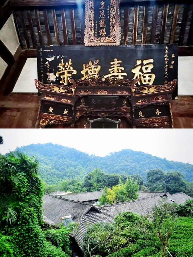 尋找童年的樂趣｜探訪花楸村古村落·親子徒步抓螃蟹