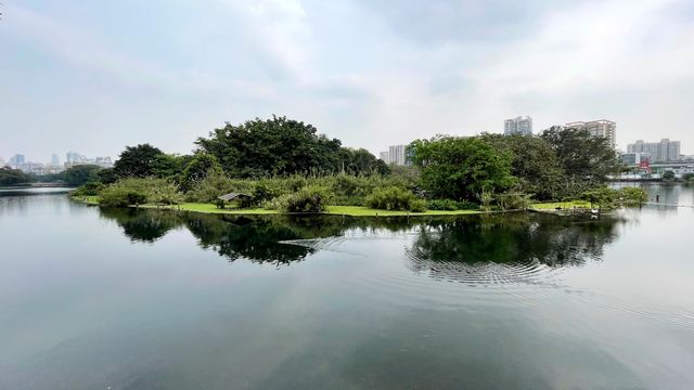 原來，廣州流花湖公園這麼多鷺鳥