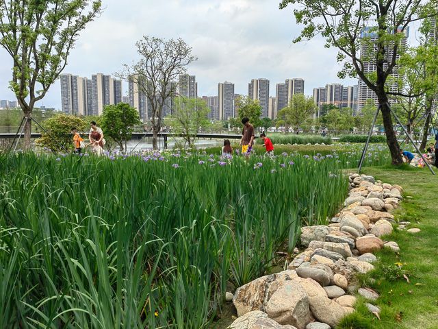 這個城央公園，遛娃撒野好去處