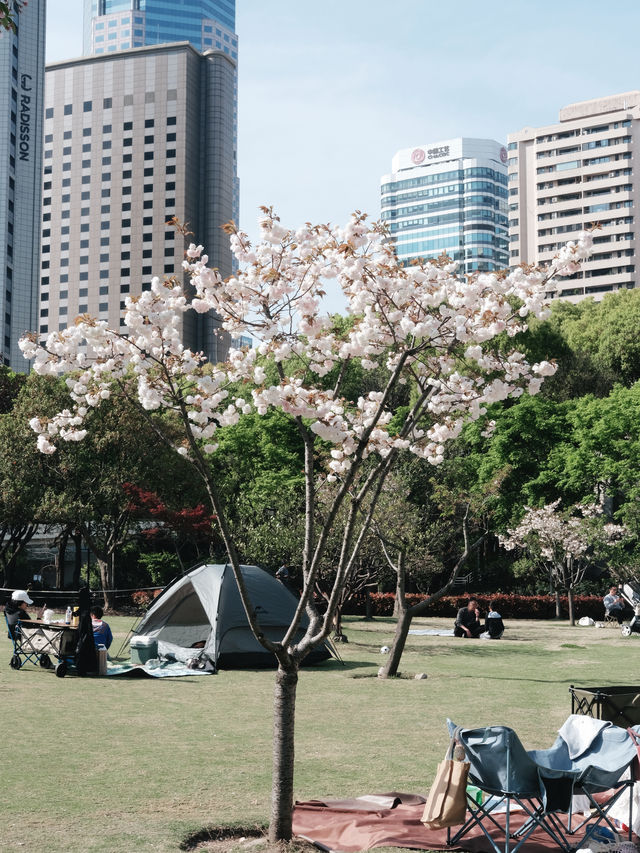 免費開放！上海賞花寶藏好去處