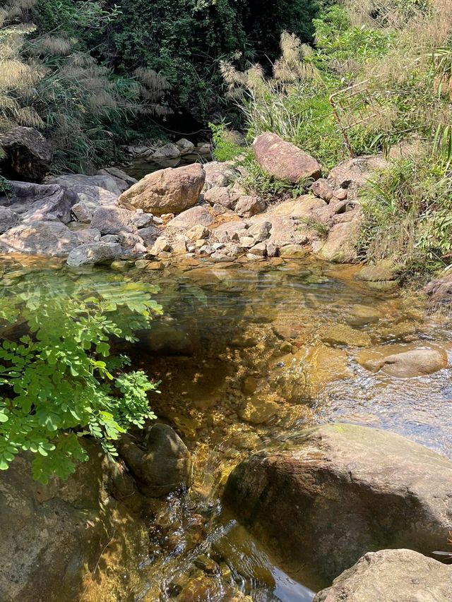 佛山｜南海灣森林生態園吸氧戲水好去處