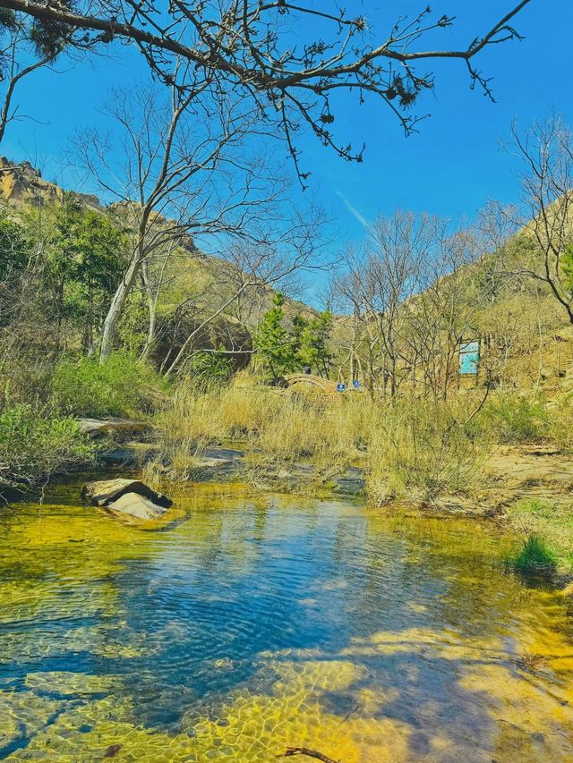 威海小眾春遊地