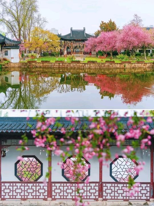 Stunning Mochou Lake Park in Nanjing 🇨🇳❤️