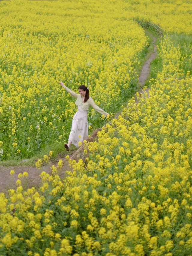 別再去篁嶺看油菜花了，婺源這些地方沒有人