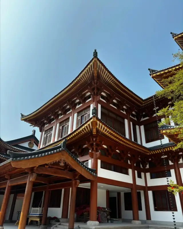 The ancient temple from the year before last still stands today, displaying a new face after thirty years of Zen and martial arts development