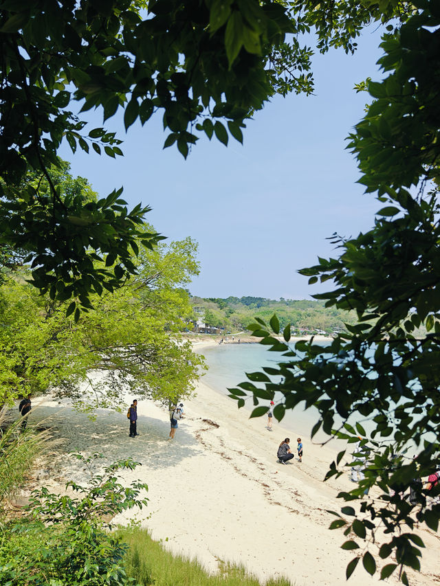 誰還沒有在東平洲看過礁石版的千里江山圖