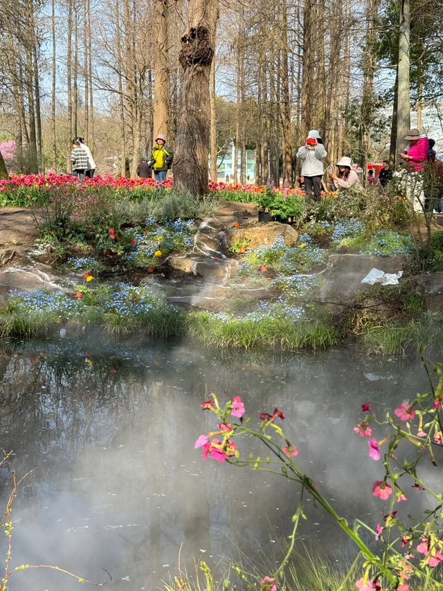 一定要去中山植物園