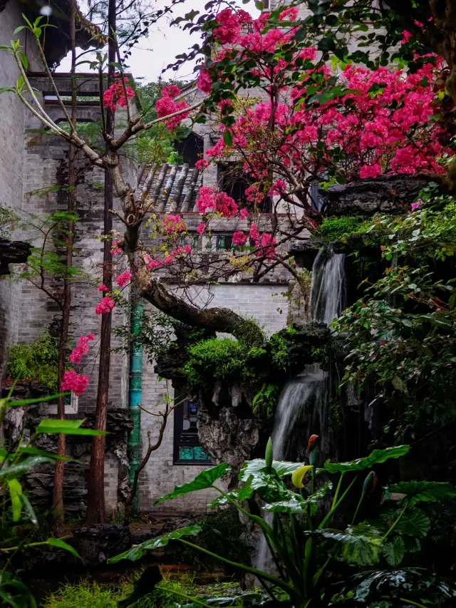 星期三 逛三園 逛什麼園 清暉園