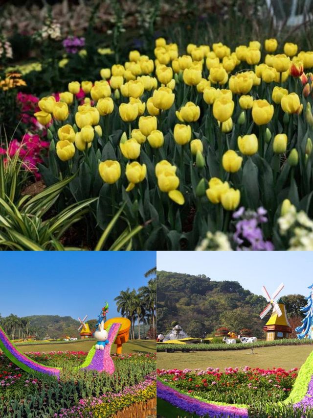 廣州雲台花園賞花