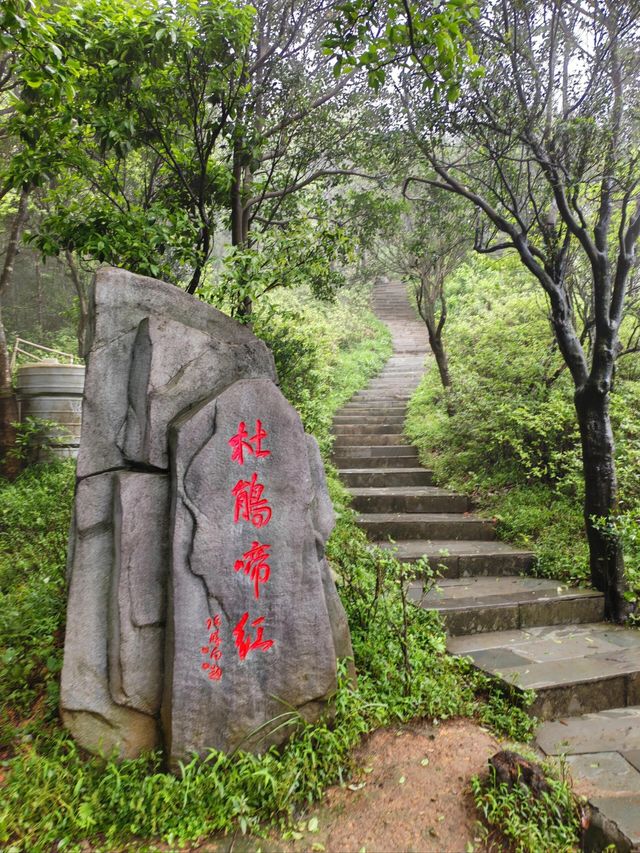深圳大小梧桐山超詳細攻略