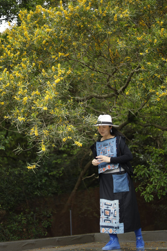 被相思樹包圍的東山島民宿—高更山居民宿！來了不想走！