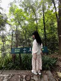 必須告訴你寶藏徒步路線龍脊山，尽享林木之美、山巒之秀！