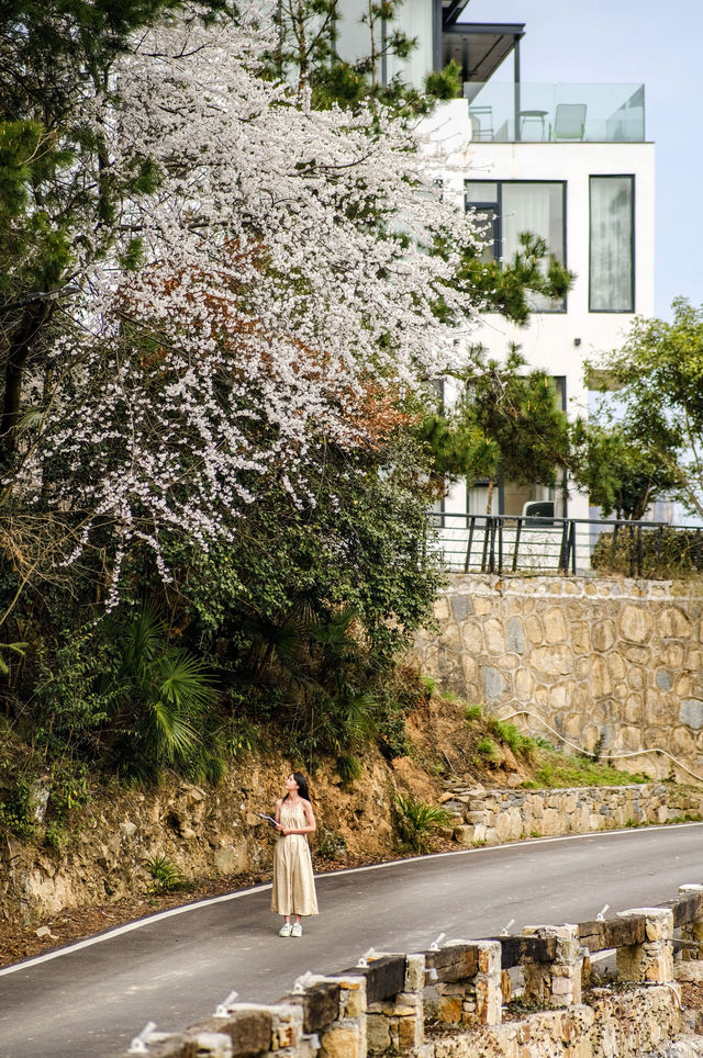 張家界探秘 | 近距離森林公園的超值民宿體驗 張家界探秘 | 近距離森林公園的超值民宿體驗