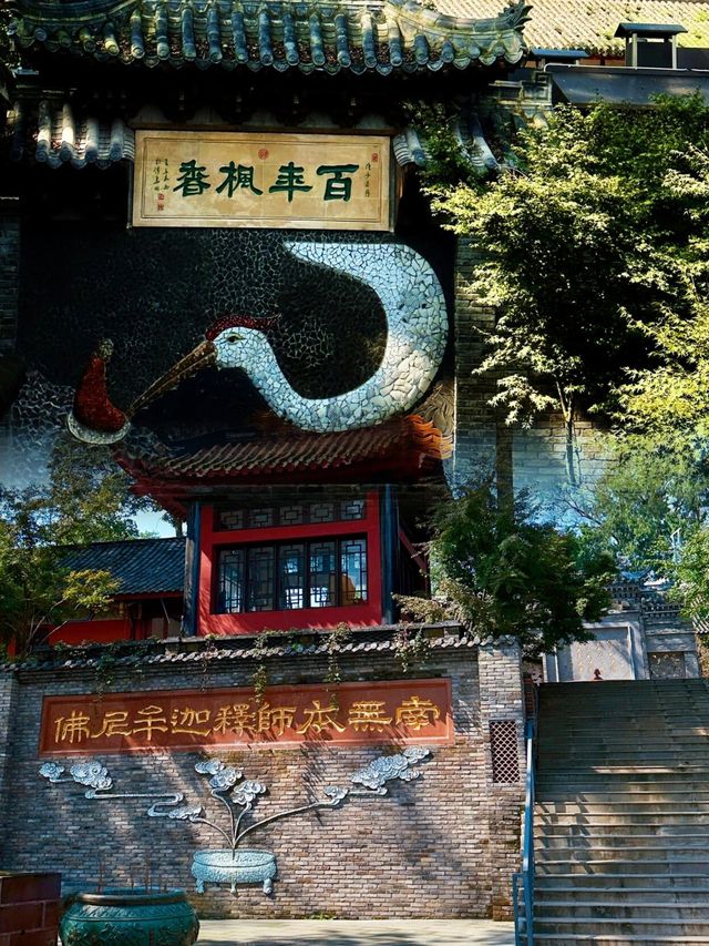 你絕對想不到！成都除了熊貓和火鍋，還有一處被時光遺忘的秘境