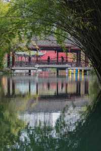 成都地鐵直達免費公園！海棠花已到最佳賞期