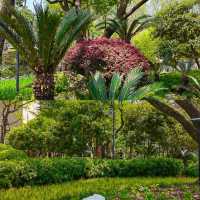 靜安公園～心靜之地